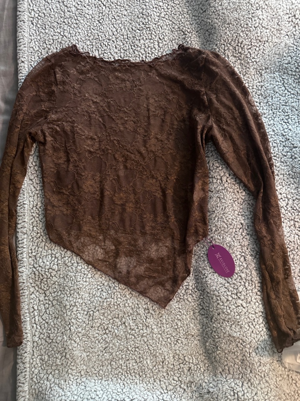 Sheer Brown Lace Long-Sleeve Women's Top